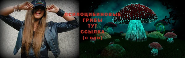 прущий лед Алексин