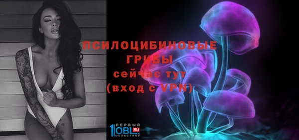 прущий лед Алексин