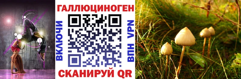 MEGA ONION  сколько стоит  Печоры  Псилоцибиновые грибы прущие грибы 